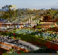 Homage - Tweed Heads Accommodation