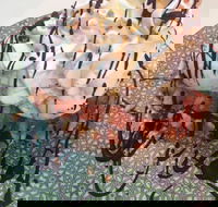 Matilda - Tweed Heads Accommodation