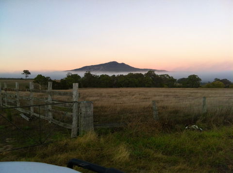 Mountainside Wines - Tweed Heads Accommodation 0