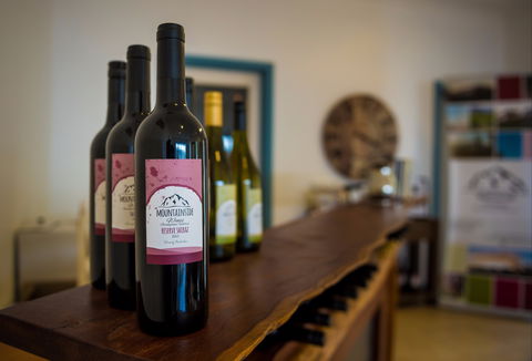 Mountainside Wines - Tweed Heads Accommodation 2