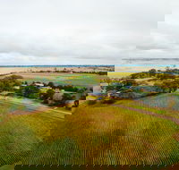 Pettavel Wines - Tweed Heads Accommodation