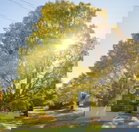 Brown Brothers Milawa Vineyard