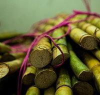 Vy Coffee Bubble Tea  Sugar Cane