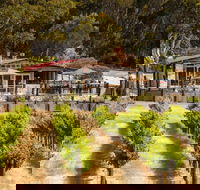 False Cape Wines Cellar Door - Tweed Heads Accommodation