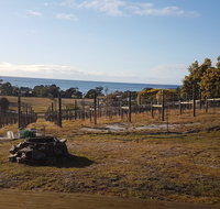 Overtime vineyard