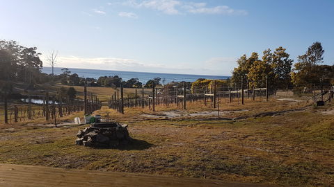 Overtime Vineyard - Tweed Heads Accommodation 0