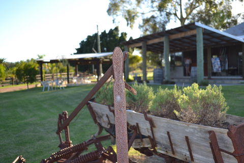 Ugly Duckling Wines - Tweed Heads Accommodation 0