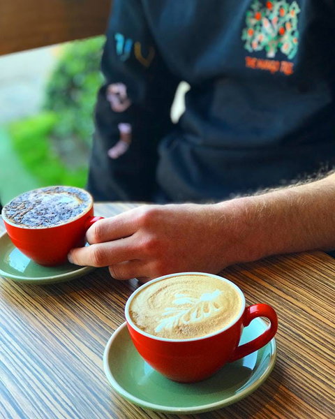 The Mango Tree - Tweed Heads Accommodation 0