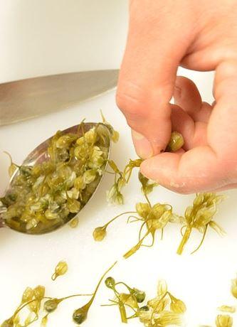 Wild Harvest Restaurant King Island - Tweed Heads Accommodation 1