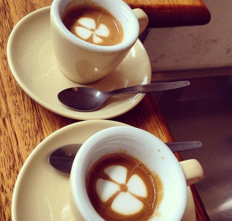 Gorilla Pizza SA - Tweed Heads Accommodation 3