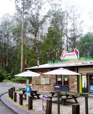 Kangaroo Island Fresh Seafoods And Takeaway - Tweed Heads Accommodation 5