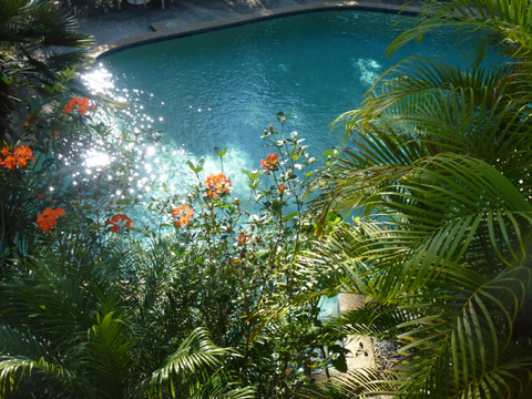 Avoca Beach Hotel - Tweed Heads Accommodation 0