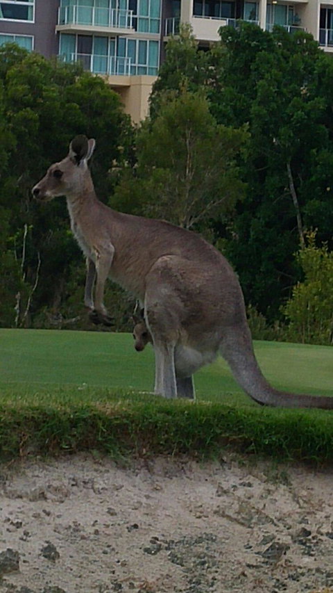 T On Course - Tweed Heads Accommodation 3