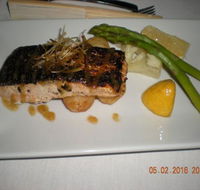 Mallard Duck - Tweed Heads Accommodation