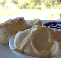 Tanglefoot Winery Cafe - Tweed Heads Accommodation