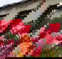 Tiny Tea Shop - Tweed Heads Accommodation