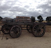 Emu Bay Lavender - Tweed Heads Accommodation