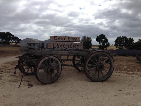 Emu Bay Lavender - Tweed Heads Accommodation 0