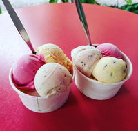 Daintree Ice Cream Company - Tweed Heads Accommodation