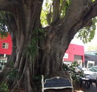 PUK Espresso - Tweed Heads Accommodation