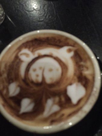 Hawthorn VIC Tweed Heads Accommodation