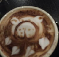 Monk  Me - Tweed Heads Accommodation