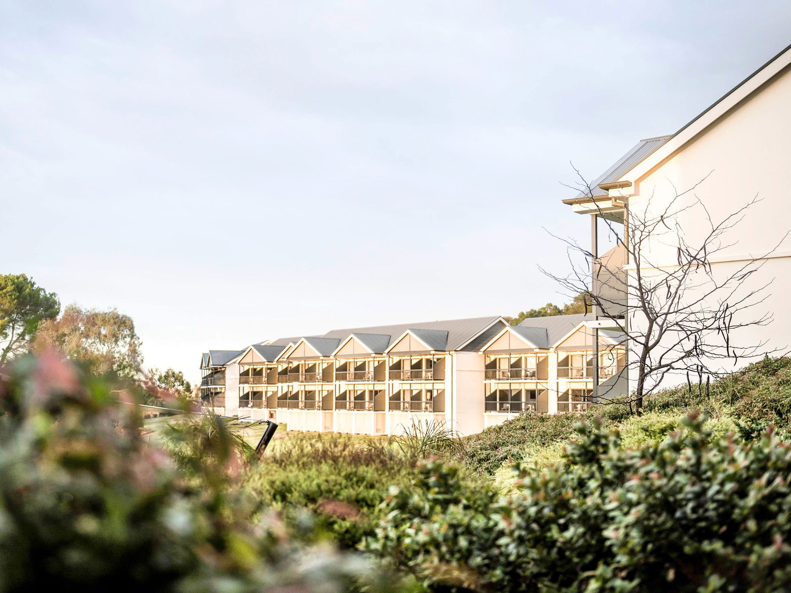 Australia Plains SA Tweed Heads Accommodation