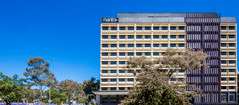 Mantra MacArthur Hotel - Tweed Heads Accommodation 0