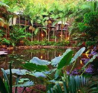 Daintree Eco Lodge  Spa - Tweed Heads Accommodation