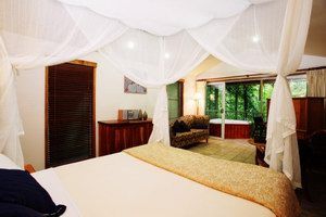 Daintree Eco Lodge & Spa - Tweed Heads Accommodation 1