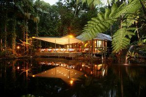 Daintree Eco Lodge & Spa - Tweed Heads Accommodation 2