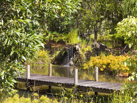 Cedar Park Rainforest Resort - Tweed Heads Accommodation 0