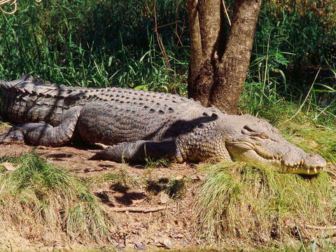 Novotel Darwin Atrium - Tweed Heads Accommodation 16