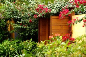 Pink Flamingo - Tweed Heads Accommodation 0
