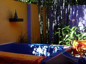 Pink Flamingo - Tweed Heads Accommodation 1