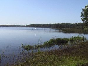 Cabarita Lake Apartments - Tweed Heads Accommodation 2