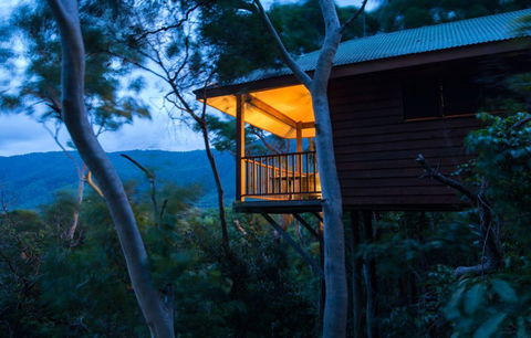 Thala Beach Nature Reserve - Tweed Heads Accommodation 0