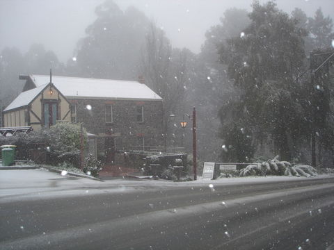 Adeline Bed & Breakfast - Tweed Heads Accommodation 1