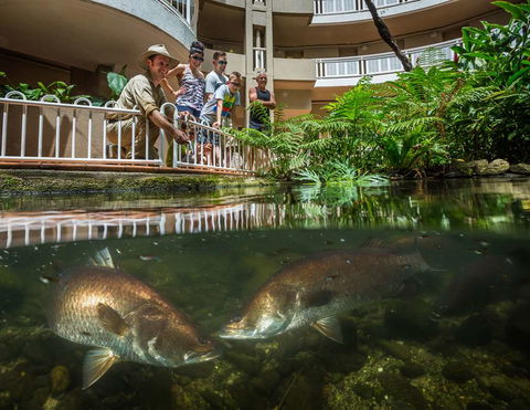 DoubleTree By Hilton Cairns - Tweed Heads Accommodation 4