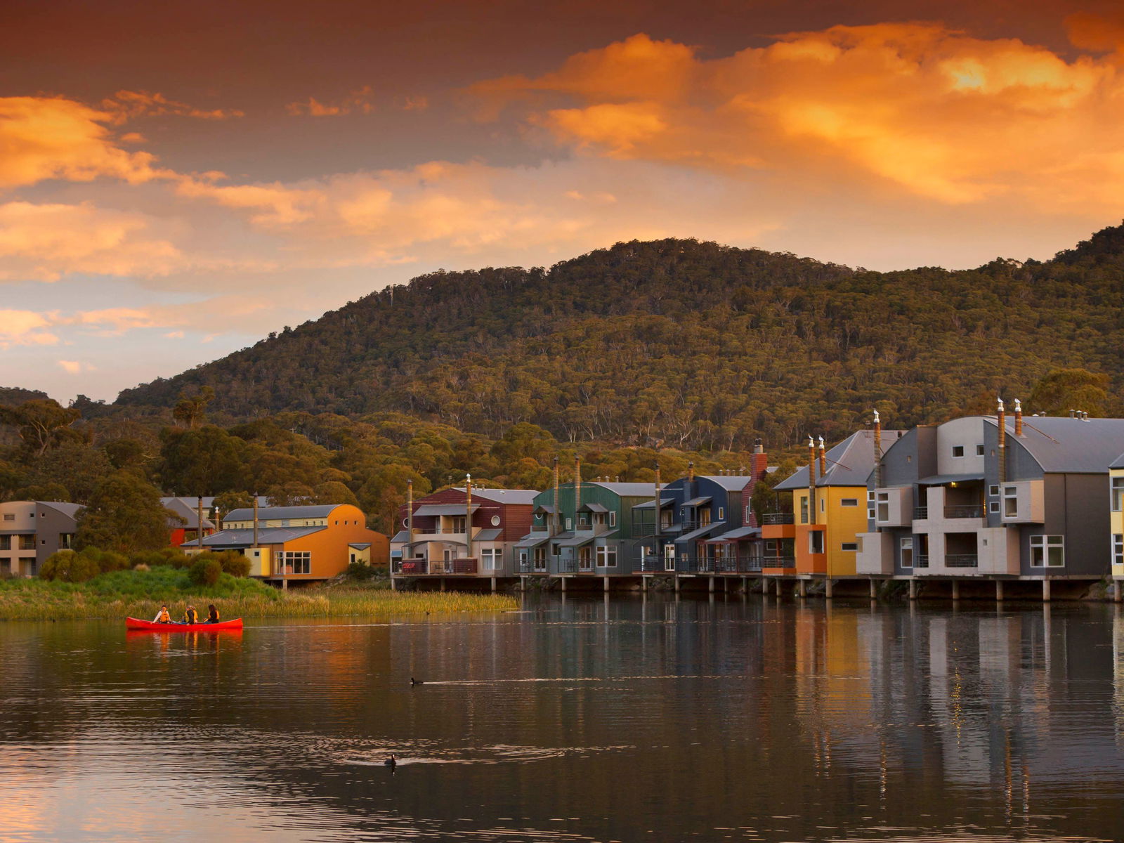 Glen Allen NSW Tweed Heads Accommodation