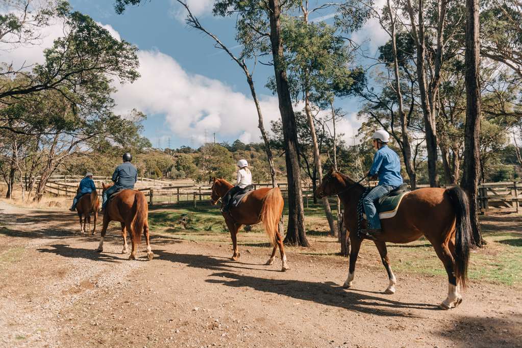 Windermere TAS Tweed Heads Accommodation