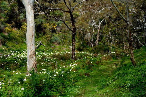 Lure Bed And Breakfast - Tweed Heads Accommodation 17