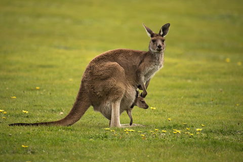 Lure Bed And Breakfast - Tweed Heads Accommodation 20