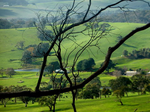 Lure Bed And Breakfast - Tweed Heads Accommodation 21