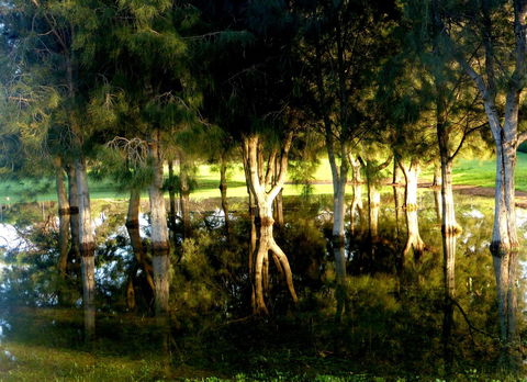 Lure Bed And Breakfast - Tweed Heads Accommodation 18