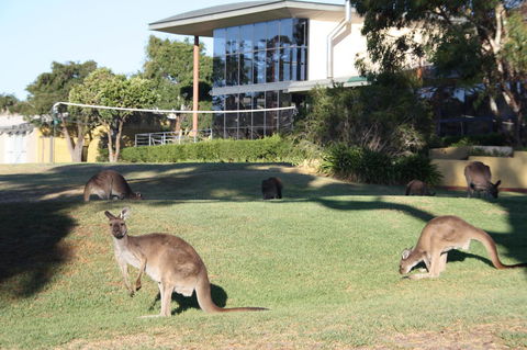 BreakFree Wirrina Cove - Tweed Heads Accommodation 28