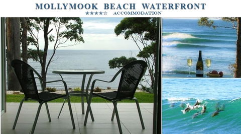 Mollymook Beach Waterfront - Tweed Heads Accommodation 1