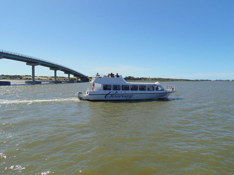 Baronet B & B - Tweed Heads Accommodation 28