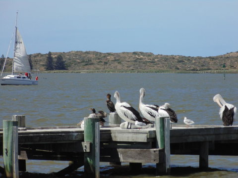 Baronet B & B - Tweed Heads Accommodation 20