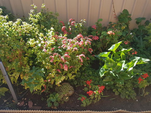 Tanunda\'s Magpie House - Tweed Heads Accommodation 24